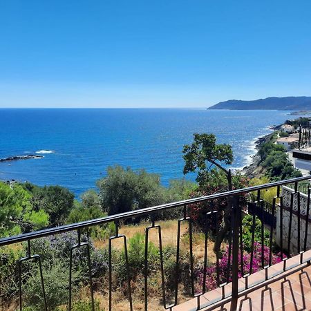 Apartamento Deluxe Cau Del Llop Llanca Luaran gambar